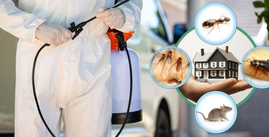 Şaphane Böcek İlaçlama