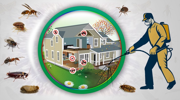 Şaphane Böcek İlaçlama