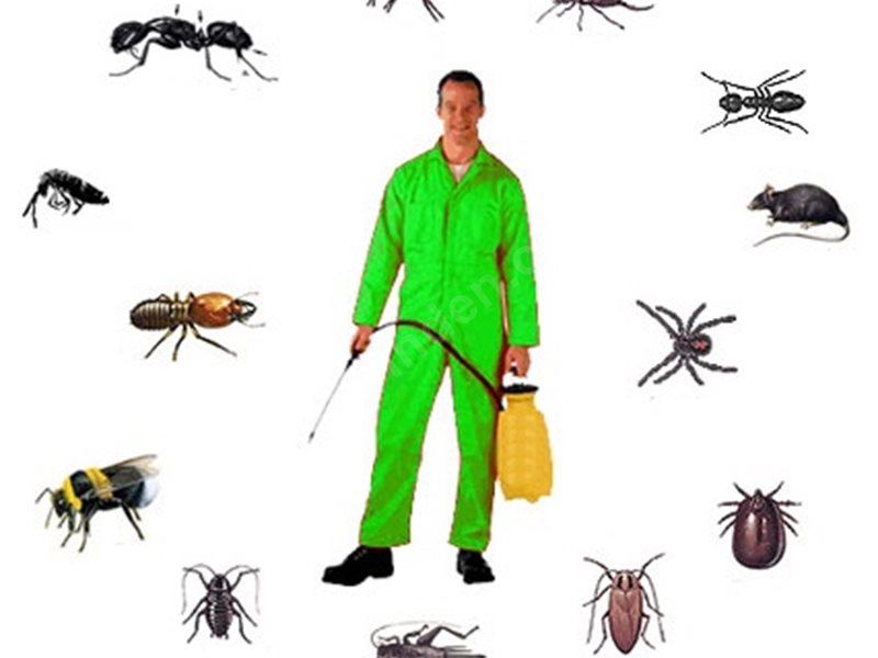 Şaphane Böcek İlaçlama